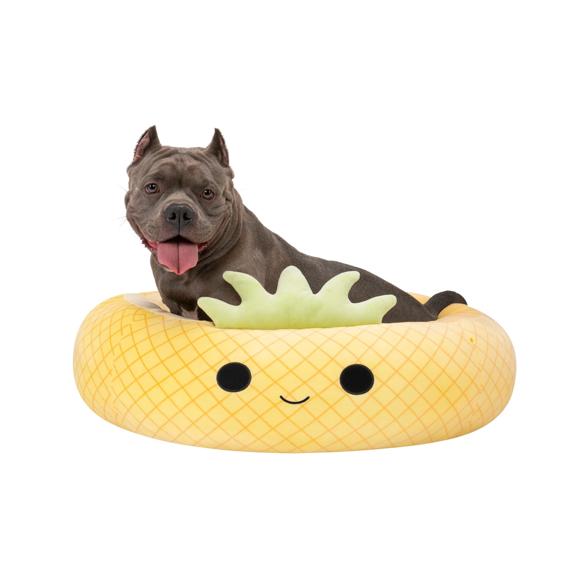 30 Inch Pineapple Pet Bed - Large Ultrasoft Official  Plush Pet Bed